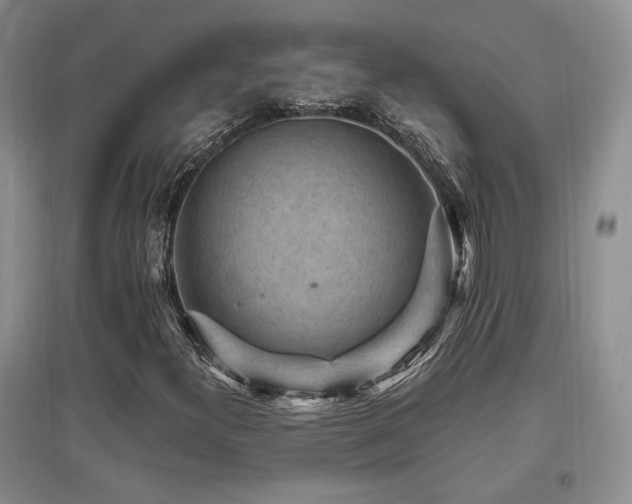 X0000097651300200802291441
