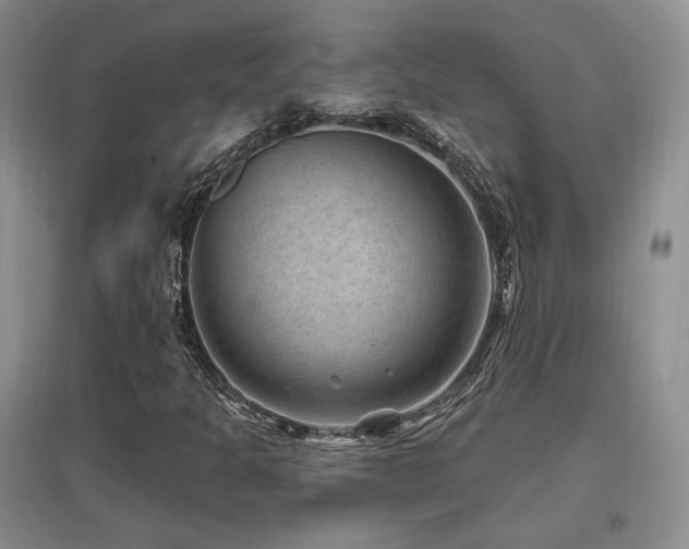 X0000097651301200802291441