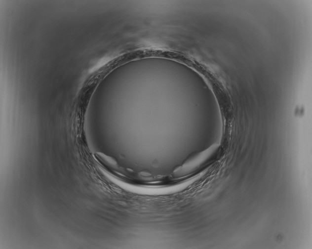 X0000097651303200802291441