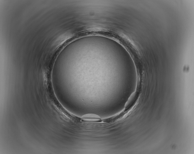 X0000097651305200802291441
