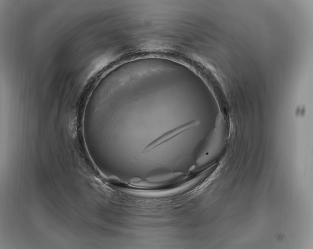 X0000097651306200802291441