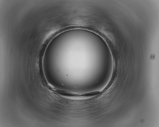 X0000097651307200802291441