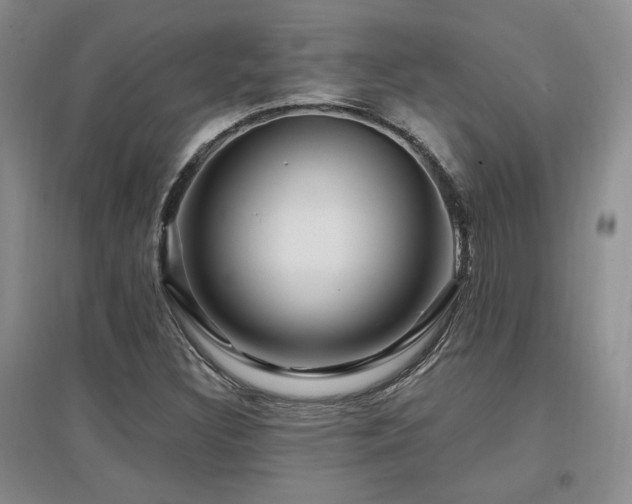 X0000097651308200802291441