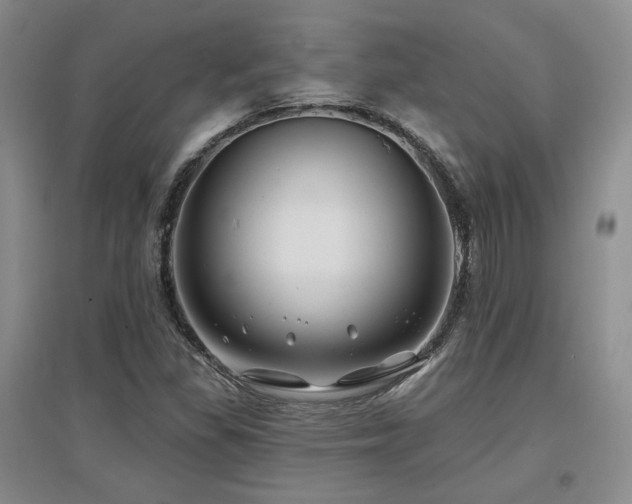 X0000097651309200802291441