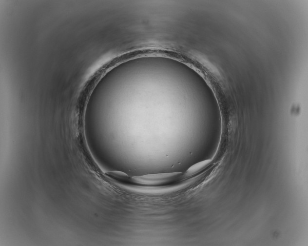 X0000097651310200802291441