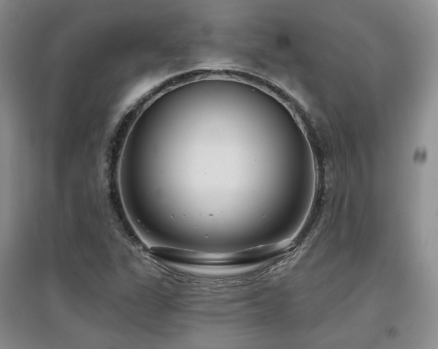 X0000097651311200802291441