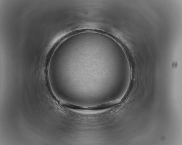 X0000097651312200802291441