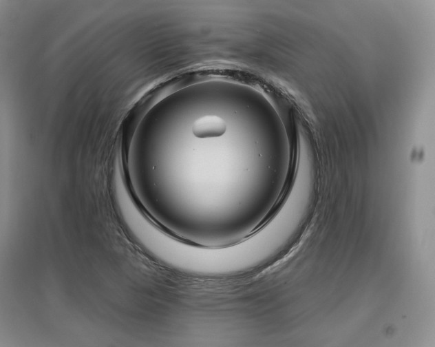 X0000097651313200802291441