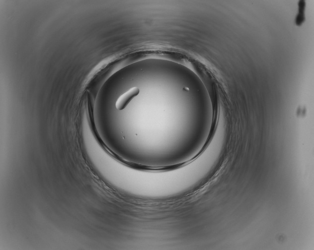 X0000097651314200802291441