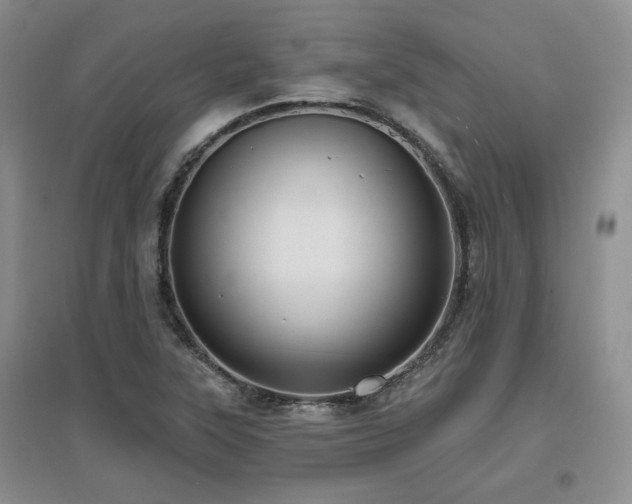 X0000097651315200802291441