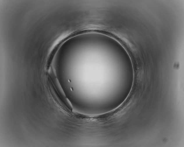 X0000097651317200802291441