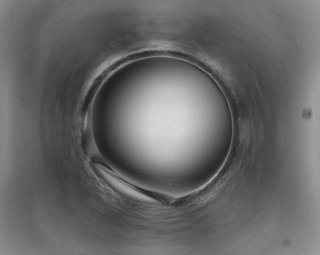 X0000097651318200802291441