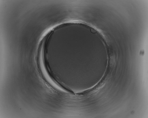 X0000097651319200802291441