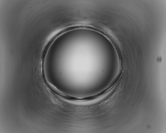 X0000097651320200802291441