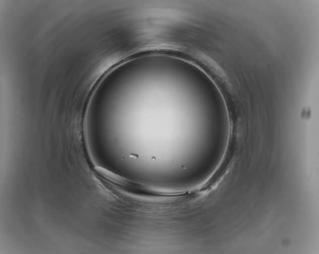 X0000097651321200802291441