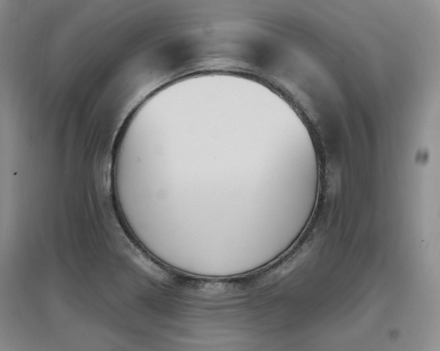 X0000097651322200802291441