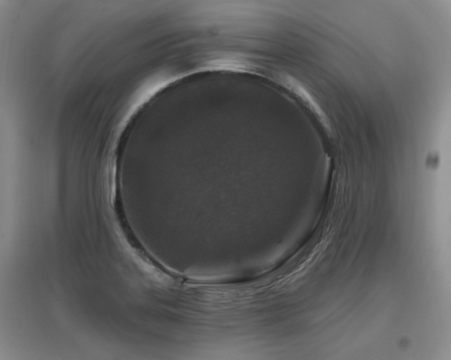 X0000097651323200802291441