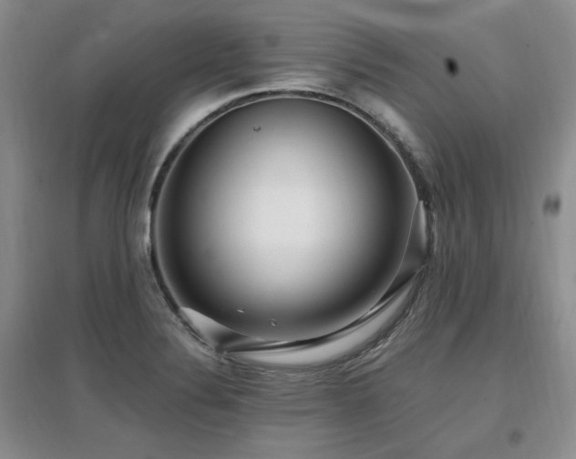 X0000097651324200802291441