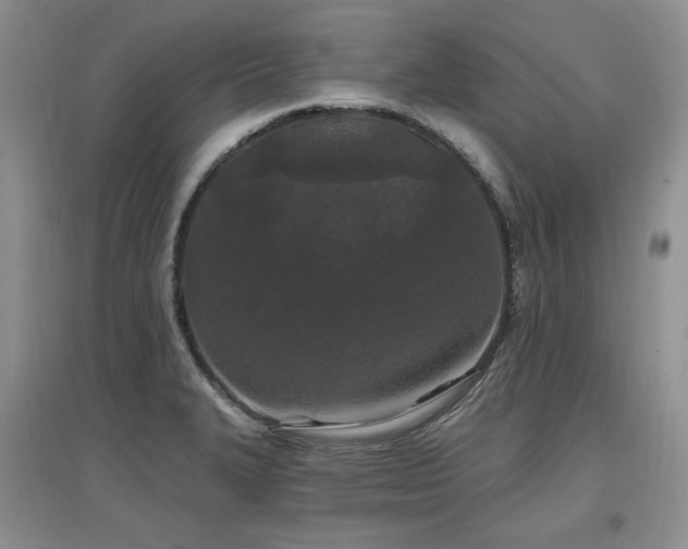 X0000097651327200802291441