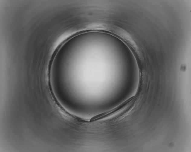 X0000097651328200802291441