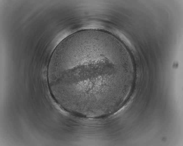 X0000097651329200802291441