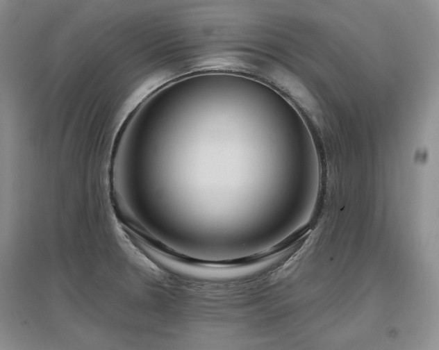 X0000097651330200802291441