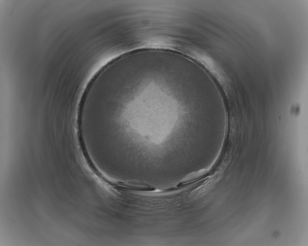 X0000097651331200802291441