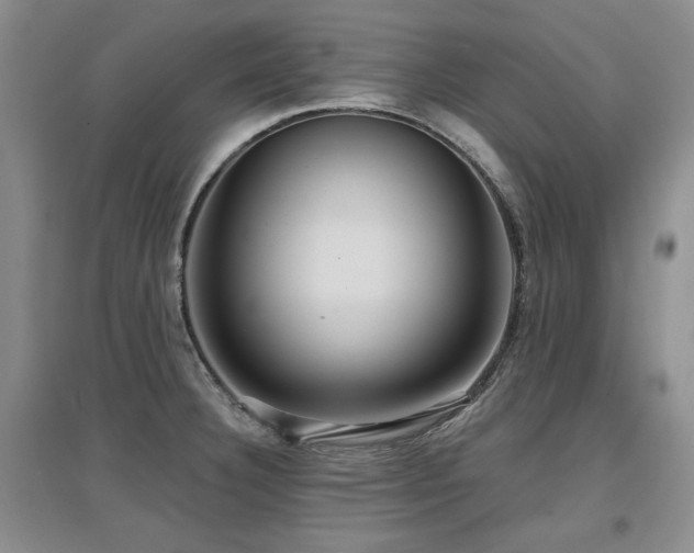 X0000097651332200802291441