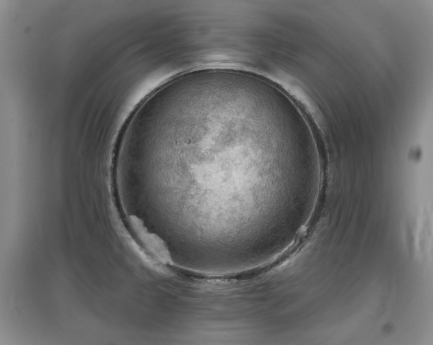 X0000097651333200802291441