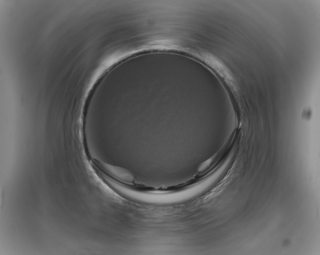 X0000097651334200802291441