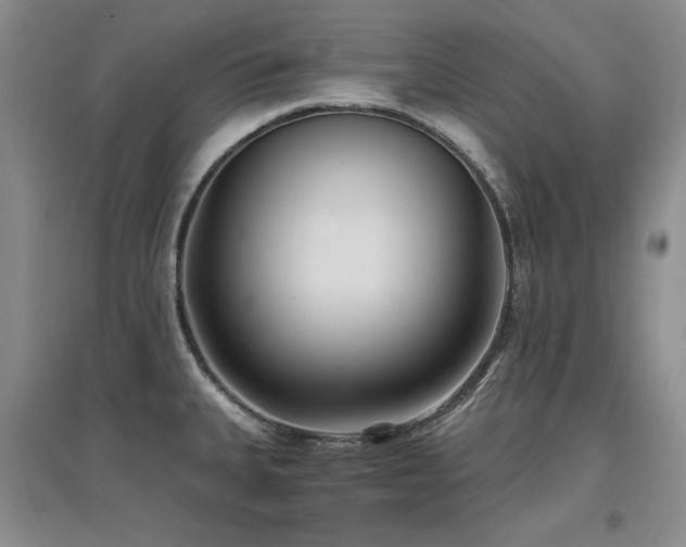X0000097651335200802291441