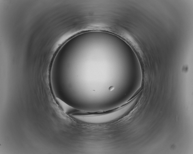X0000097651336200802291441