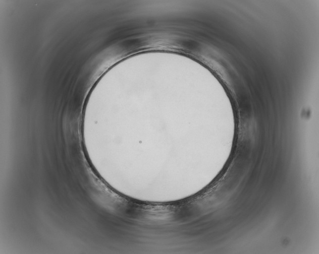 X0000097651338200802291441