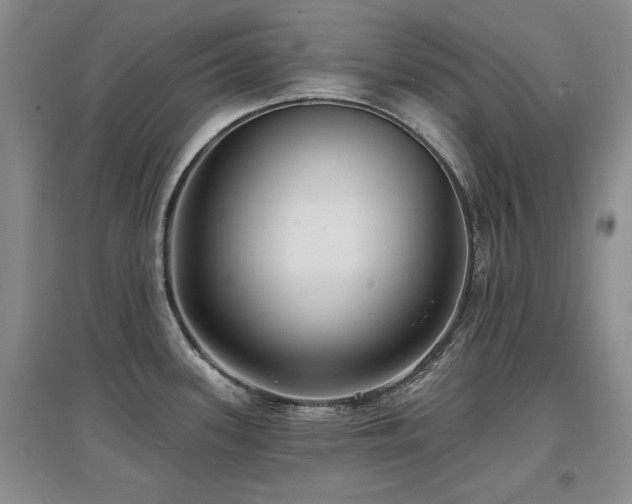 X0000097651339200802291441