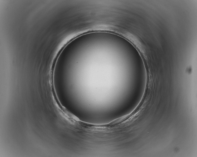 X0000097651342200802291441