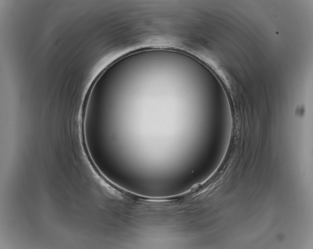 X0000097651343200802291441