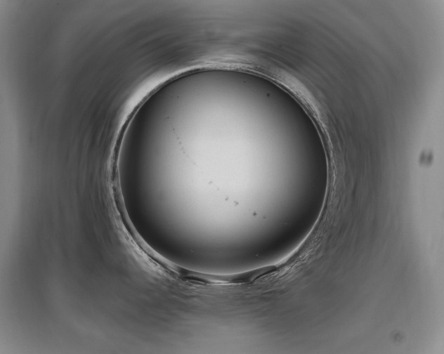 X0000097651344200802291441