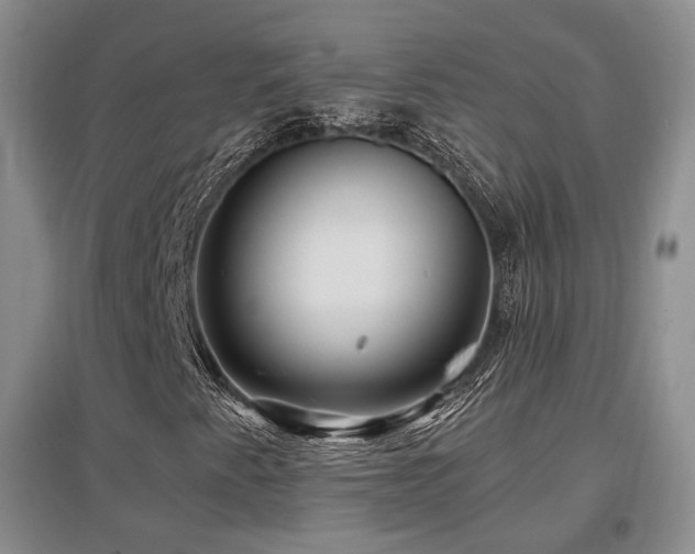 X0000097651345200802291441