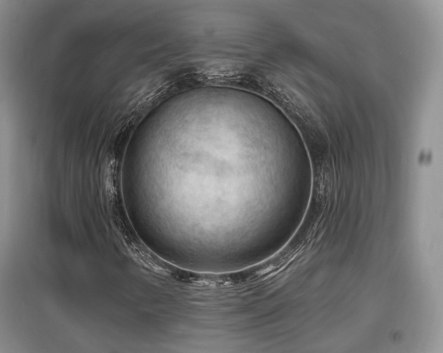 X0000097651346200802291441