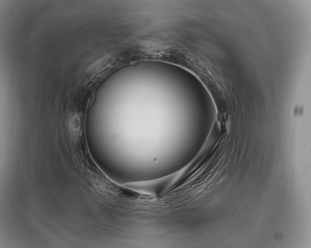 X0000097651347200802291441