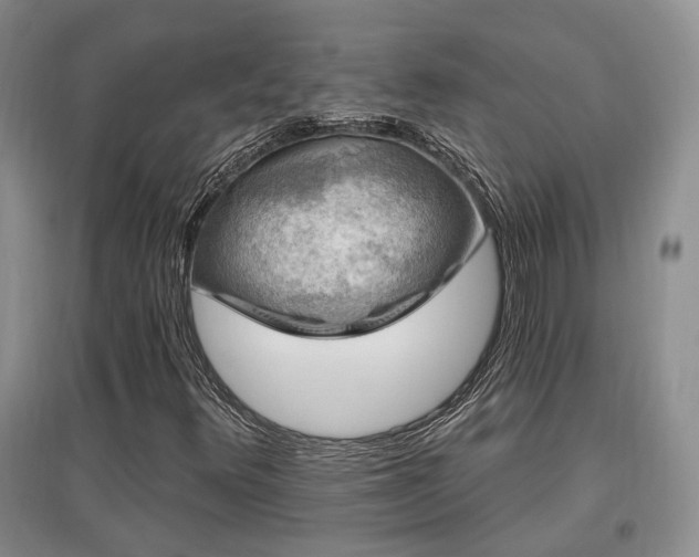 X0000097651348200802291441