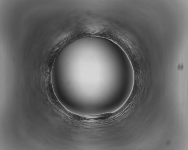 X0000097651349200802291440