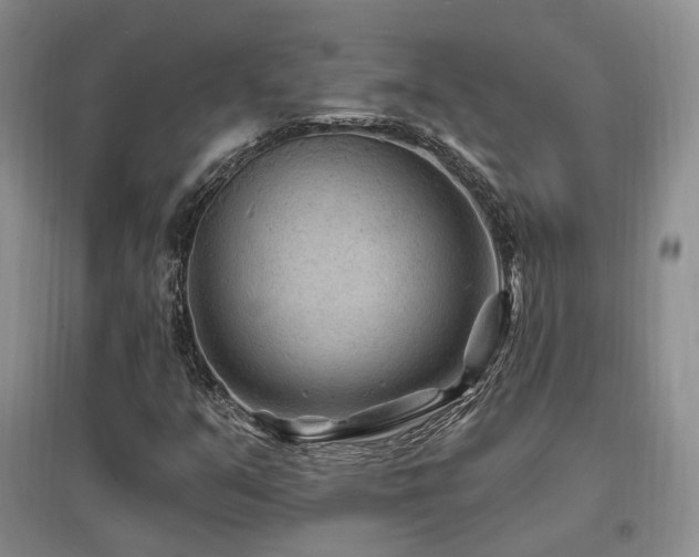 X0000097651351200802291440