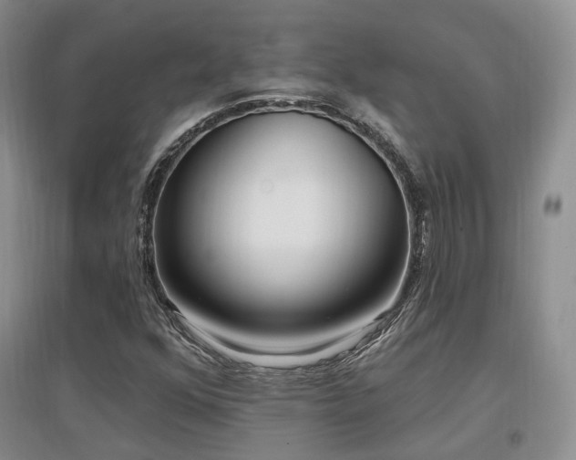 X0000097651352200802291440