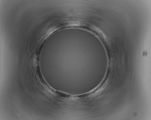 X0000097651353200802291440