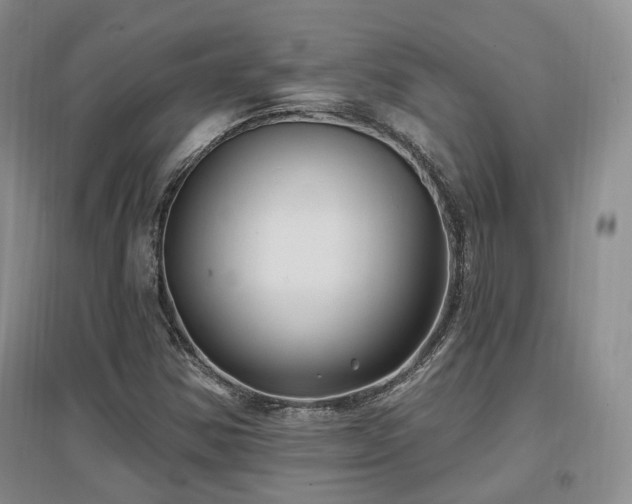 X0000097651354200802291440