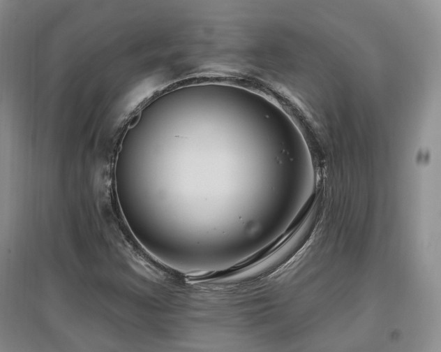 X0000097651355200802291440
