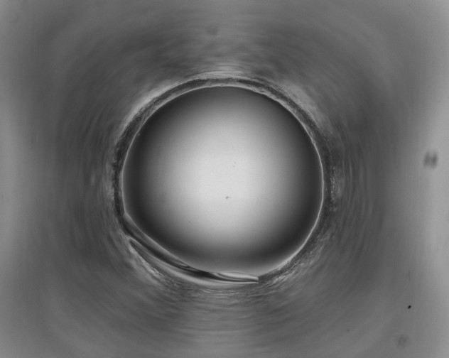 X0000097651356200802291440