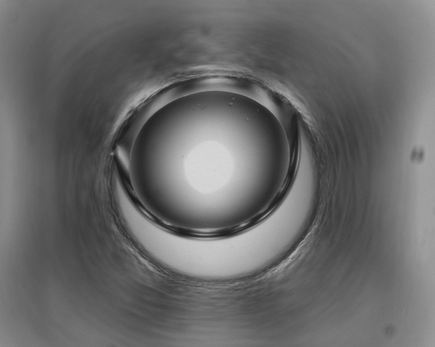 X0000097651357200802291440