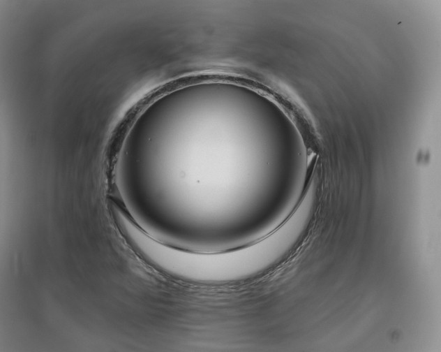X0000097651360200802291440